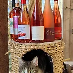 Maison d'hôtes Wein-hotel Mistral