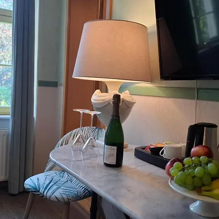 Wein-hotel Mistral 3* 弗赖贝格