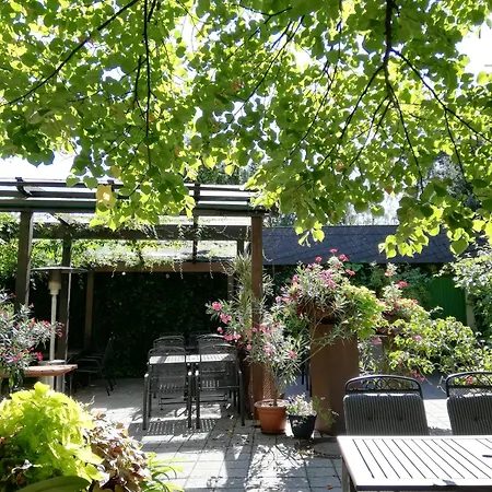 Wein-hotel Mistral 3* 弗赖贝格
