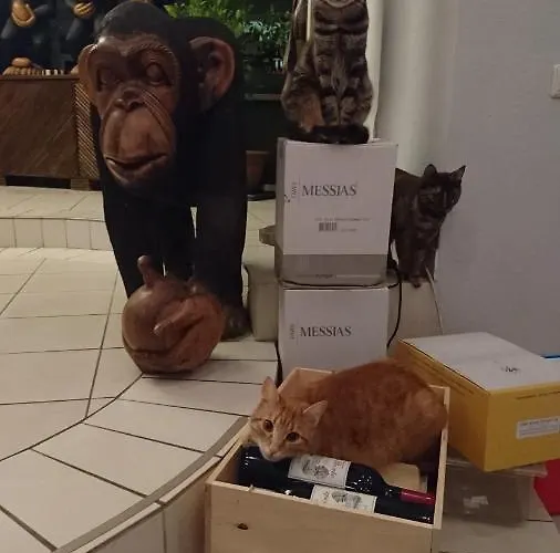 Wein-hotel Mistral Gasthof